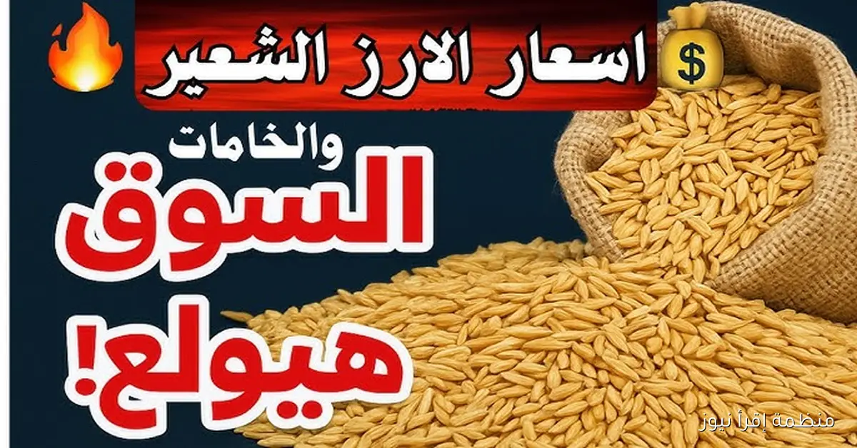 “عريض ورفيع” سعر الأرز الشعير اليوم الأحد 12 أكتوبر 2025 في الأسواق بداية التعاملات