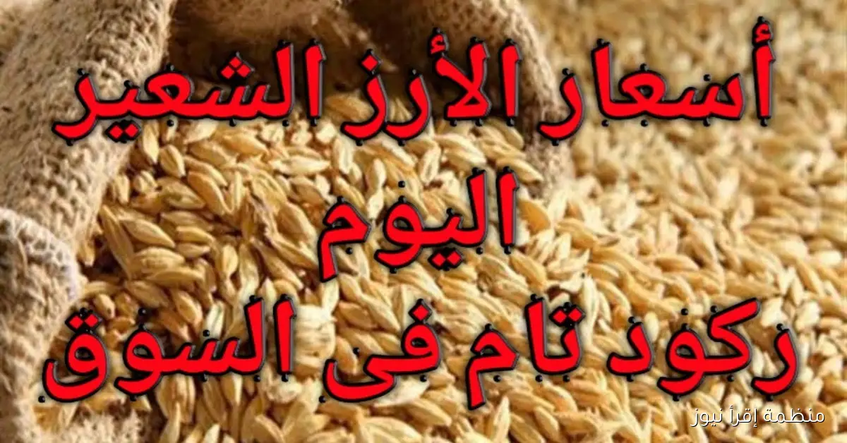 “الاردب بكام🌾” سعر الأرز الشعير اليوم الأربعاء 8/10/2025 في الاسواق المحلية