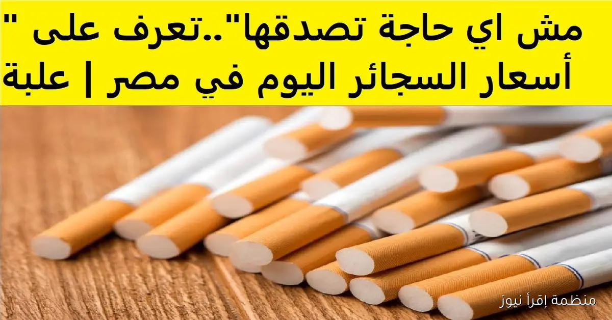 ” المصري والمستورد” أسعار السجائر اليوم الأربعاء 8 أكتوبر 2025 في مصر