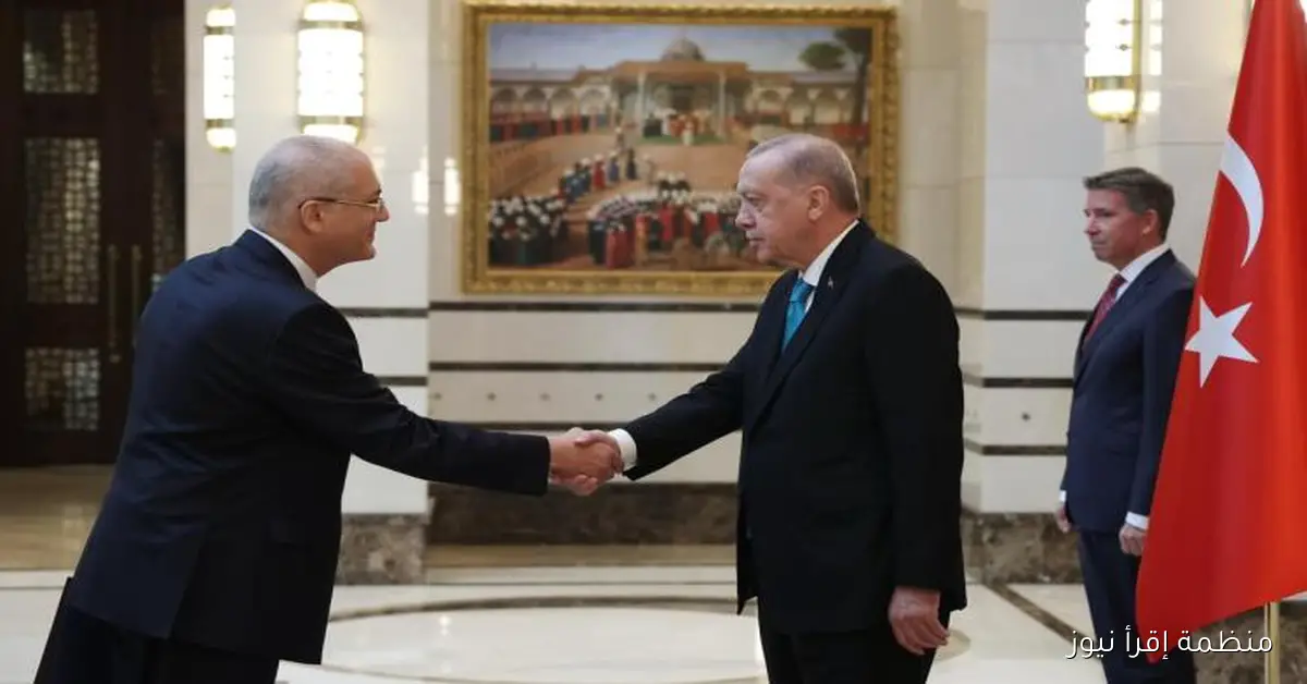 أردوغان يثني على نجاح الوساطة المصرية والتركية في إنهاء الصراع في غزة
