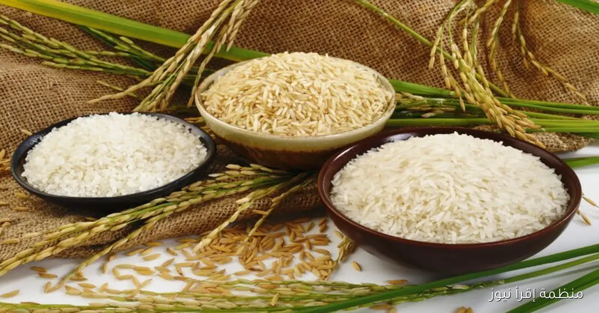 بكام الطن؟ .. أسعار الأرز الشعير اليوم الثلاثاء 14 أكتوبر 2025 في الأسواق