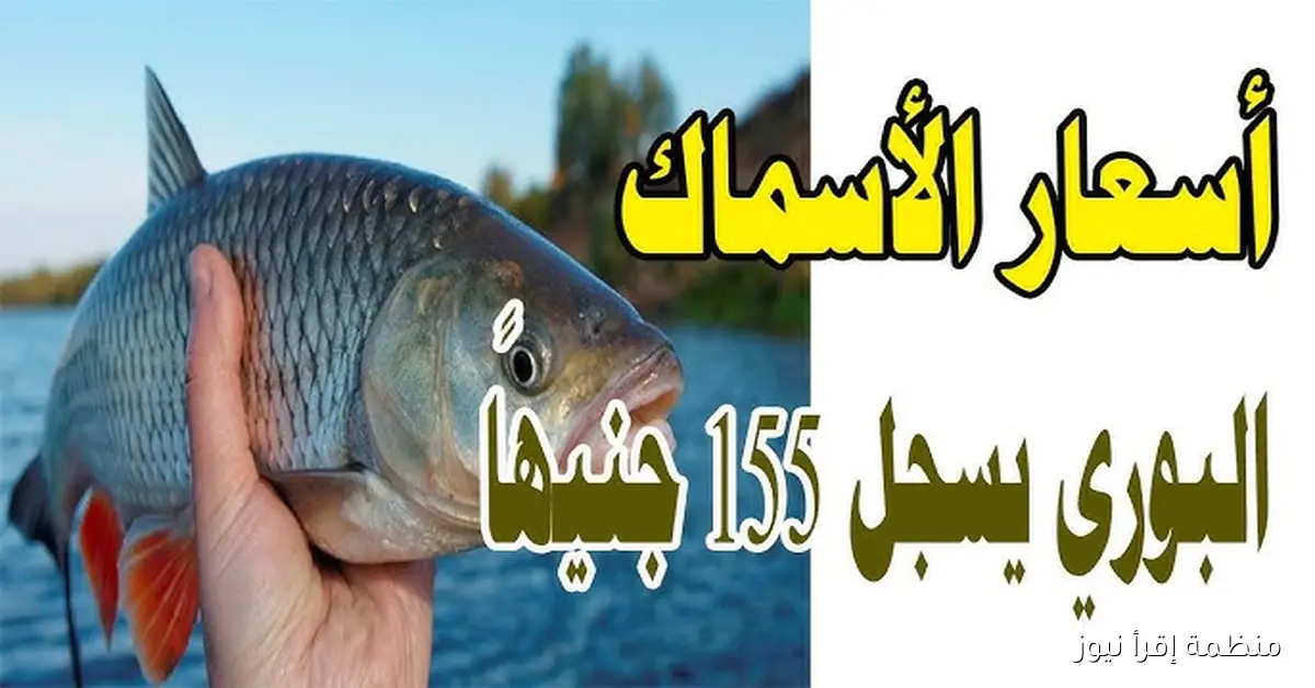 الجمبري بكام؟ .. أسعار الأسماك اليوم الخميس 9-10-2025 في سوق العبور