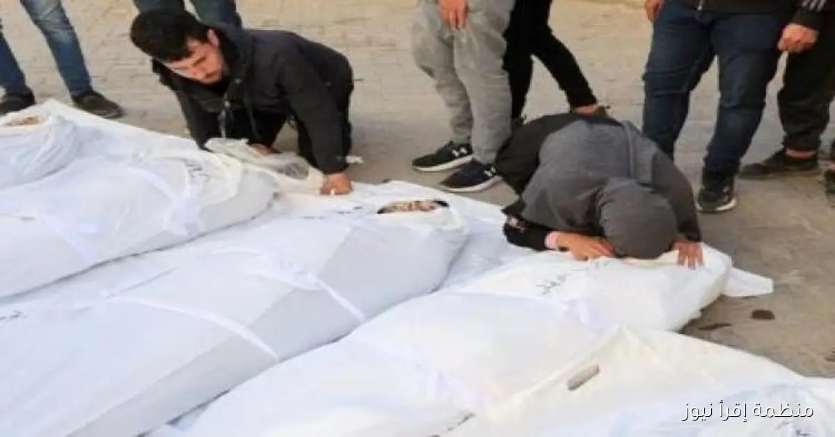 ارتفاع عدد الشهداء في قطاع غزة إلى 14 منذ فجر اليوم