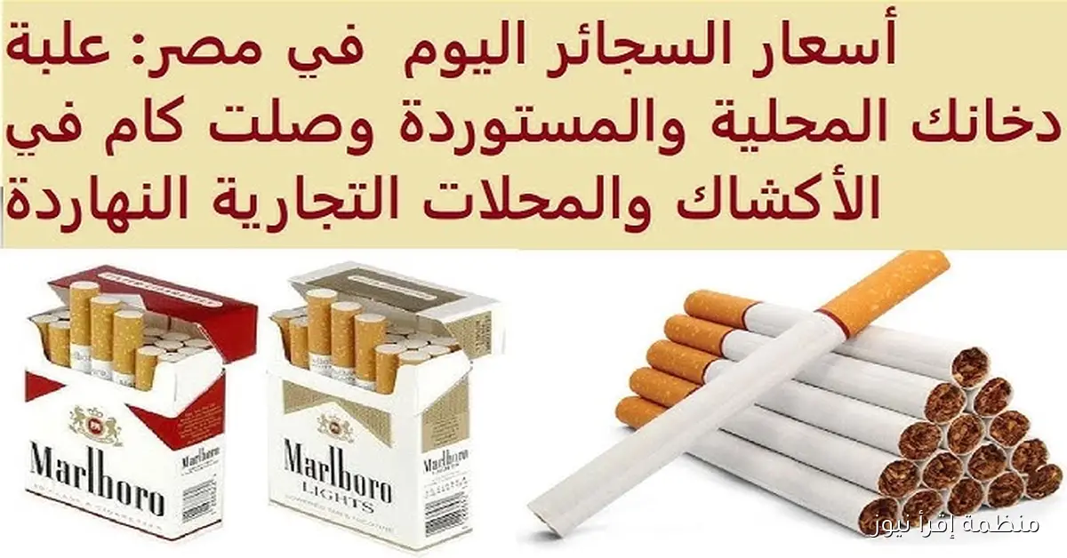 L&M بكام؟ .. اسعار السجائر اليوم الخميس 9 أكتوبر 2025 المحلية والمستوردة