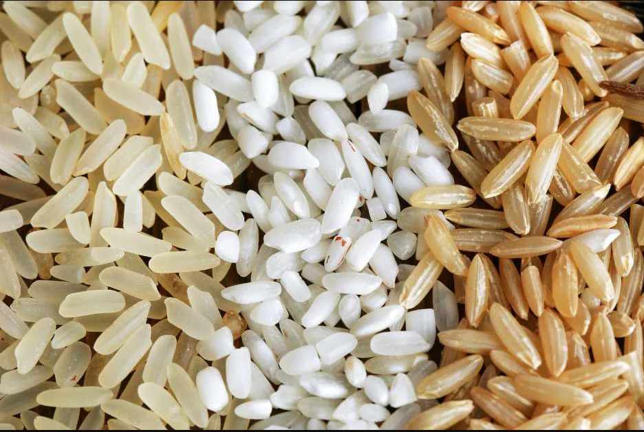 سعر طن الأرز الشعير عريض ورفيع الحبة اليوم الثلاثاء 2025 في مصر