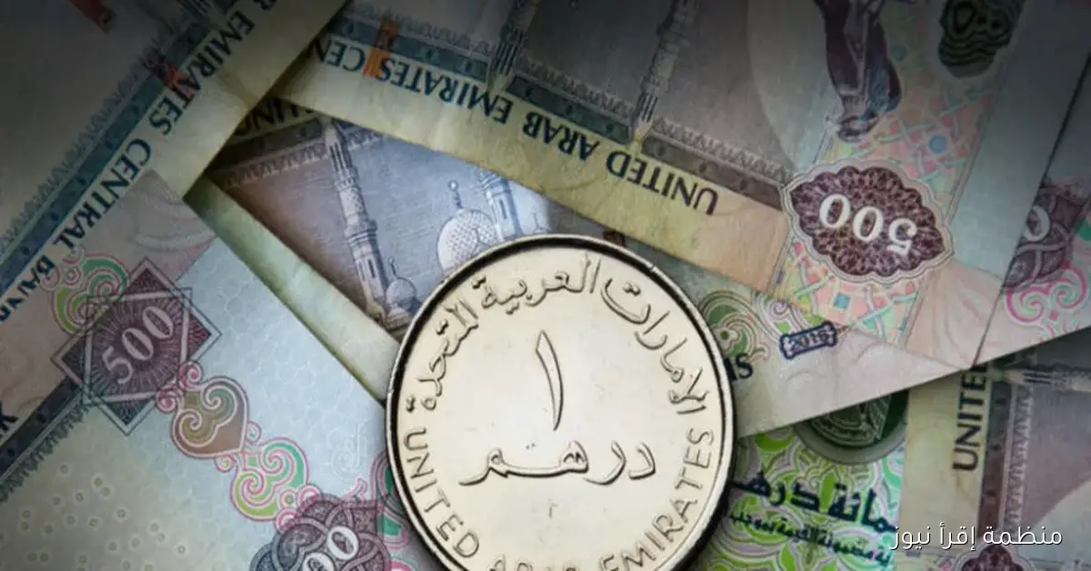 سعر الدرهم الإماراتي مقابل الجنيه المصري اليوم الثلاثاء 2025/10/7 في السوق السوداء