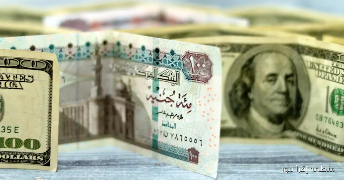 سعر الدولار امام الجنية المصري اليوم الثلاثاء 7 أكتوبر 2025 في السوق السوداء والبنوك