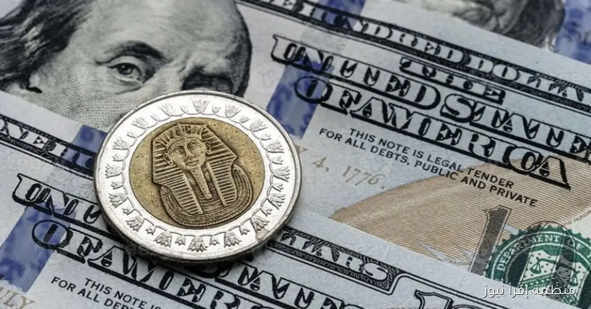 سعر الدولار اليوم امام الجنية المصري الاربعاء 8 أكتوبر 2025 داخل السوق السوداء والبنوك الرسمية