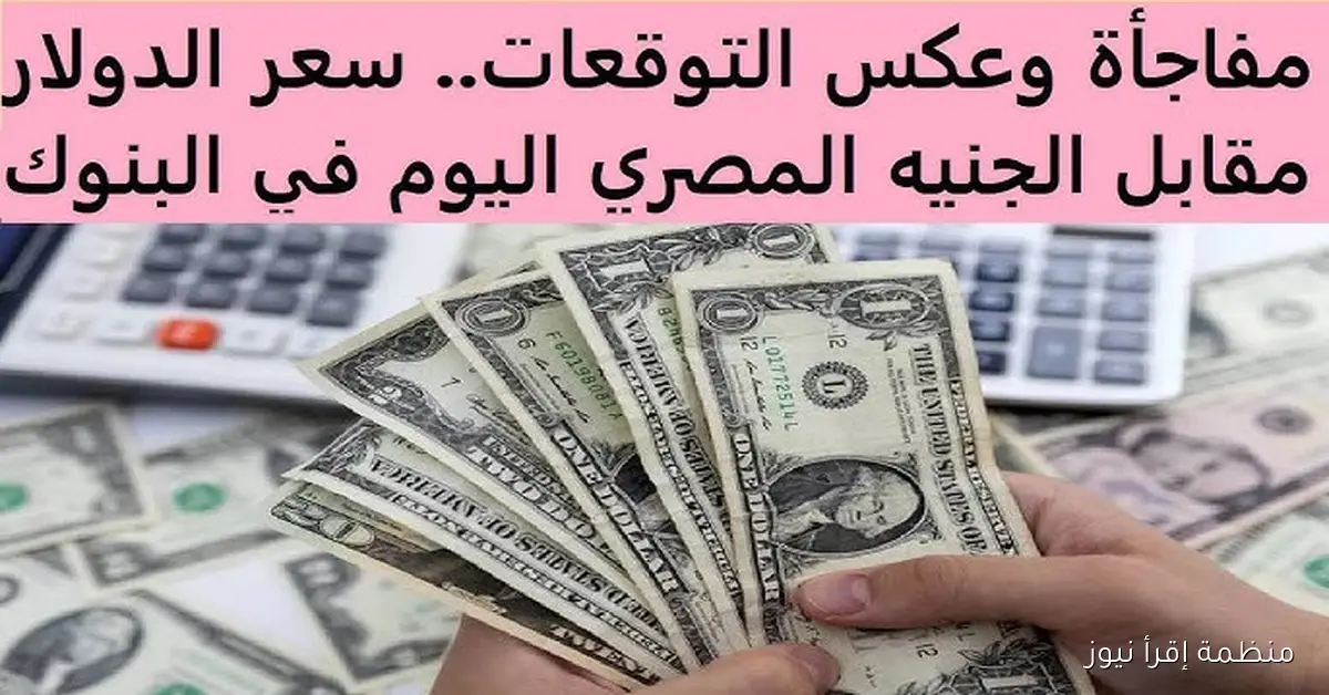 “يرتفع مجدداً” سعر الدولار اليوم مقابل الجنيه المصري الاثنين 13 أكتوبر 2025 في السوق السوداء والبنوك