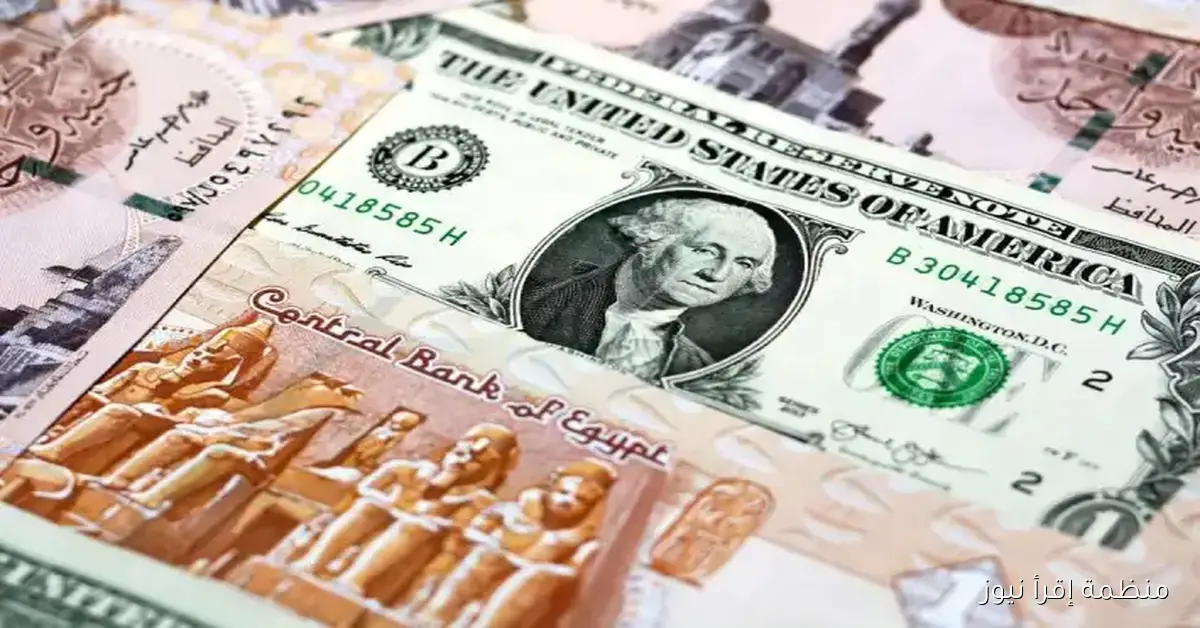 الأخضر وصل لكام؟؟ سعر الدولار اليوم الأربعاء 8 أكتوبر 2025 في السوق السوداء والبنوك المصرية