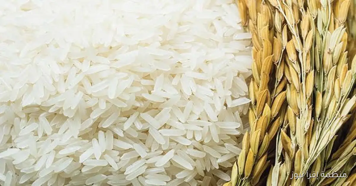 سعر طن الأرز الشعير اليوم الاربعاء 8 أكتوبر 2025 في الأسواق المصرية وداخل المحلات التجارية