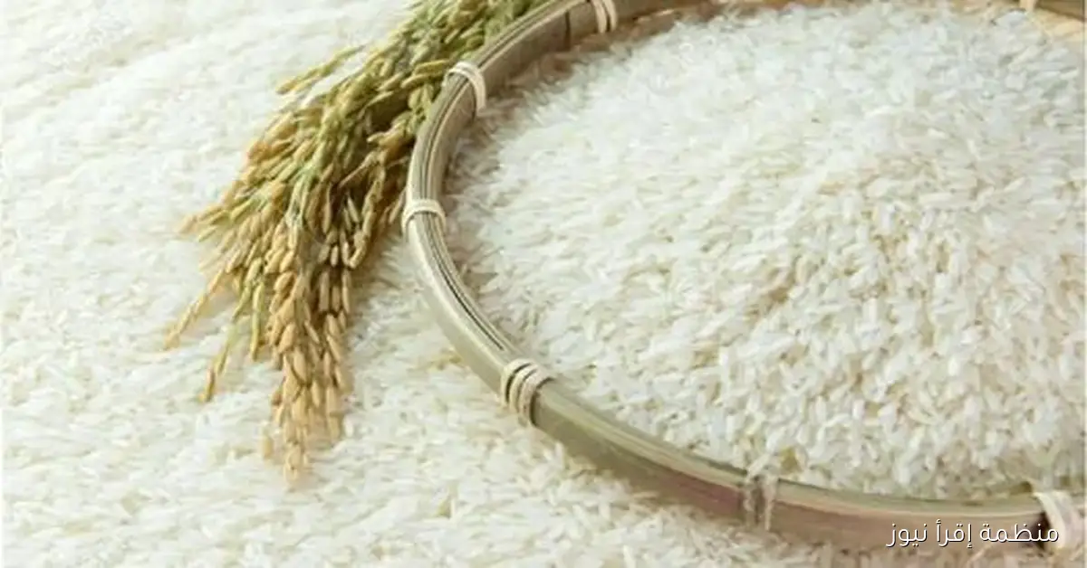 بعد تراجعه .. سعر طن الأرز الشعير اليوم الاحد 12 أكتوبر 2025 عريض ورفيع الحبة