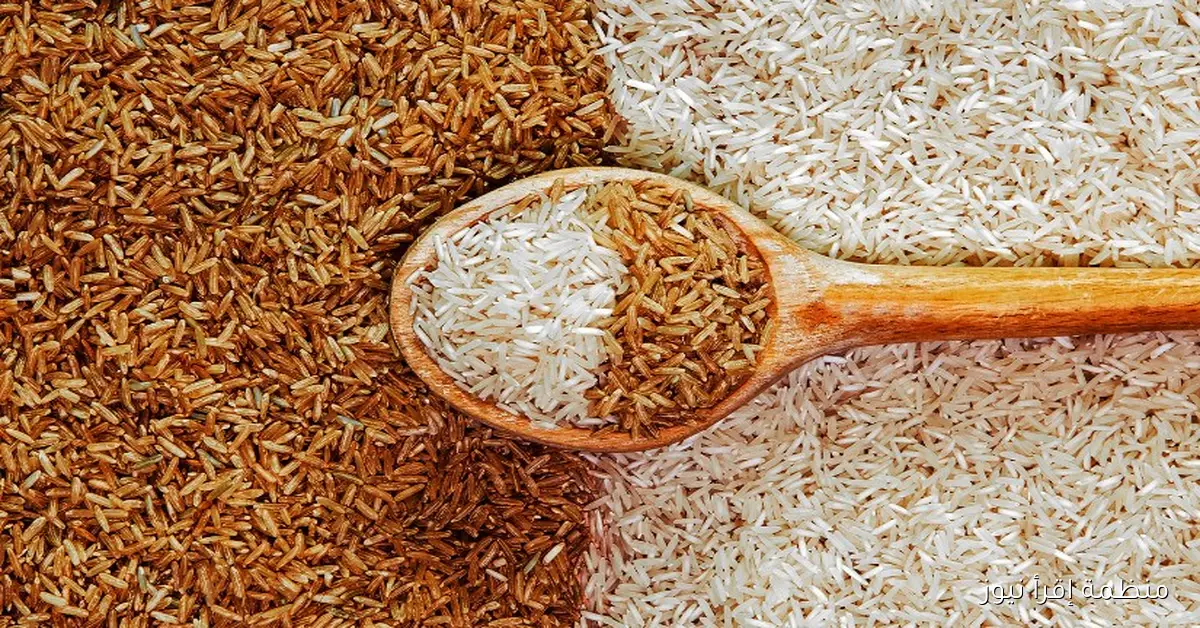 رفيع وعريض الحبة .. سعر طن الأرز الشعير اليوم الأثنين 2025/10/13 في الأسواق المصرية