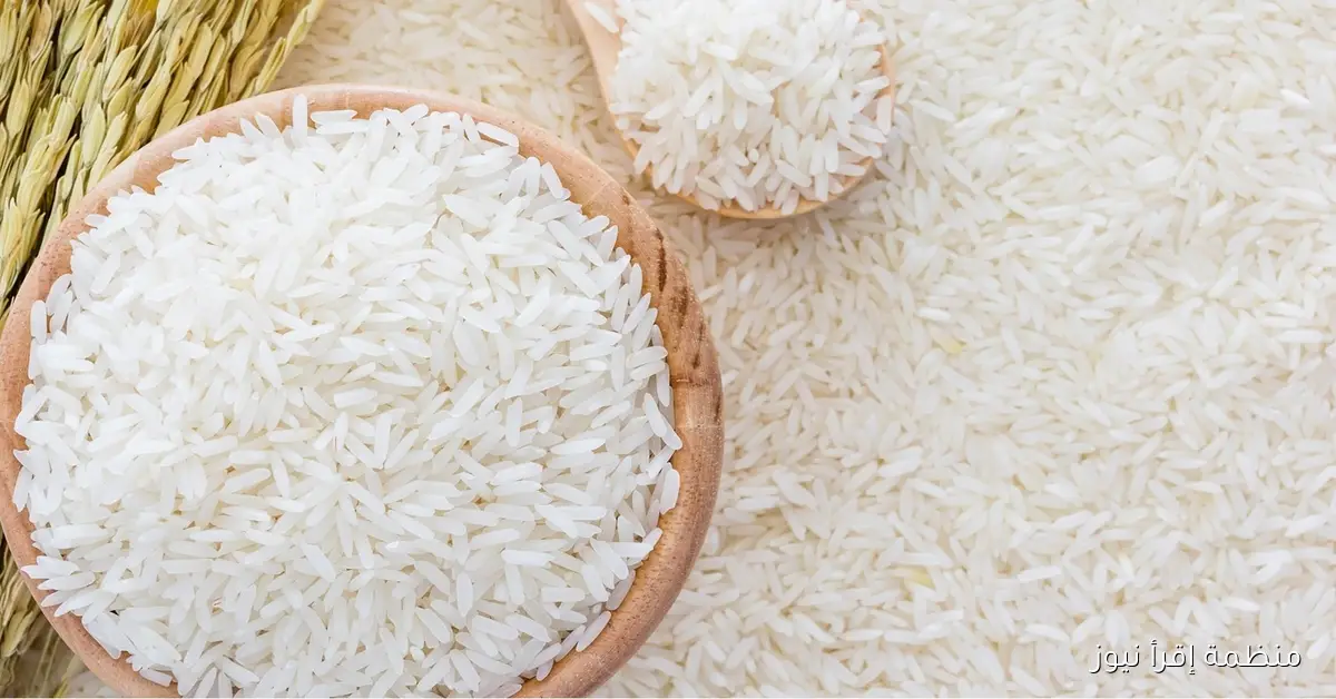 بكام؟ .. سعر طن الأرز الشعير اليوم الأربعاء 15 أكتوبر 2025 في الأسواق