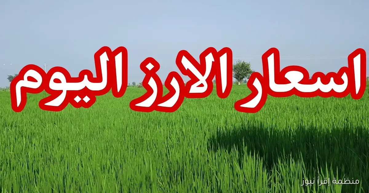 سعر طن الأرز الشعير اليوم الأربعاء 15 أكتوبر 2025 في الأسواق المصرية