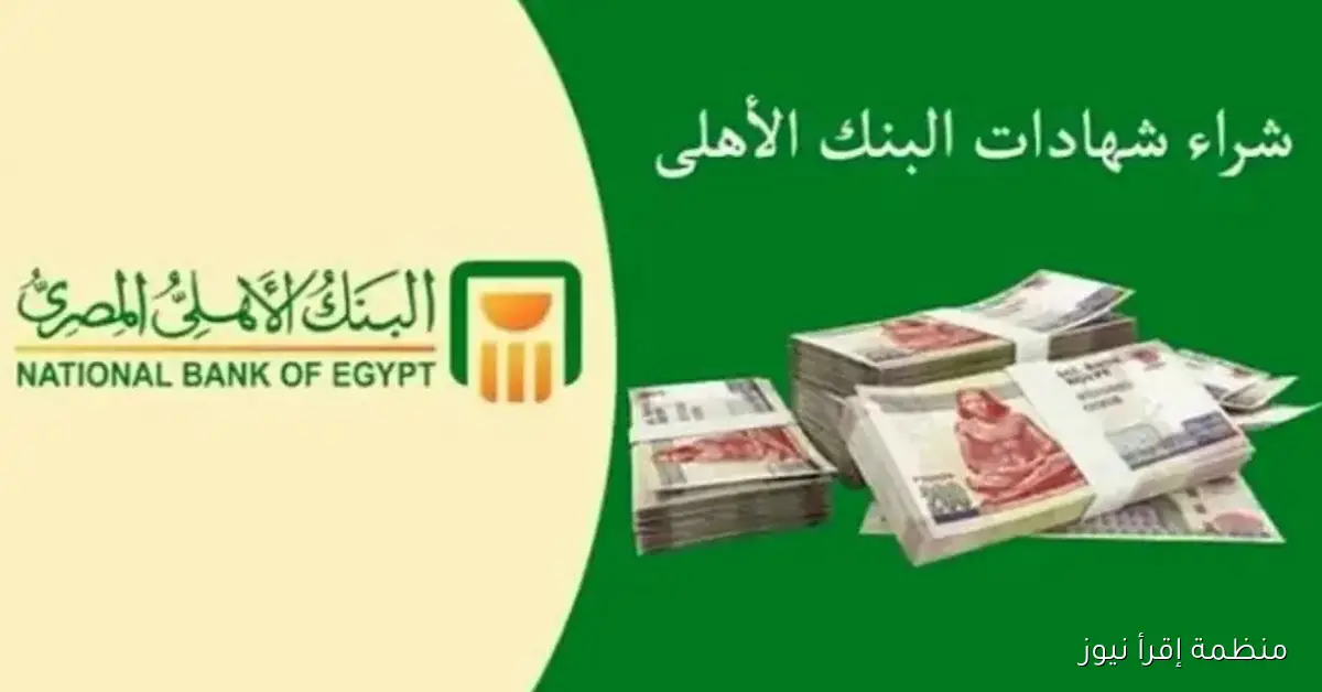 شهادات الادخار في البنك الأهلي المصري 2025 .. خيارات متنوعة وعوائد تنافسية تصل الي 21%