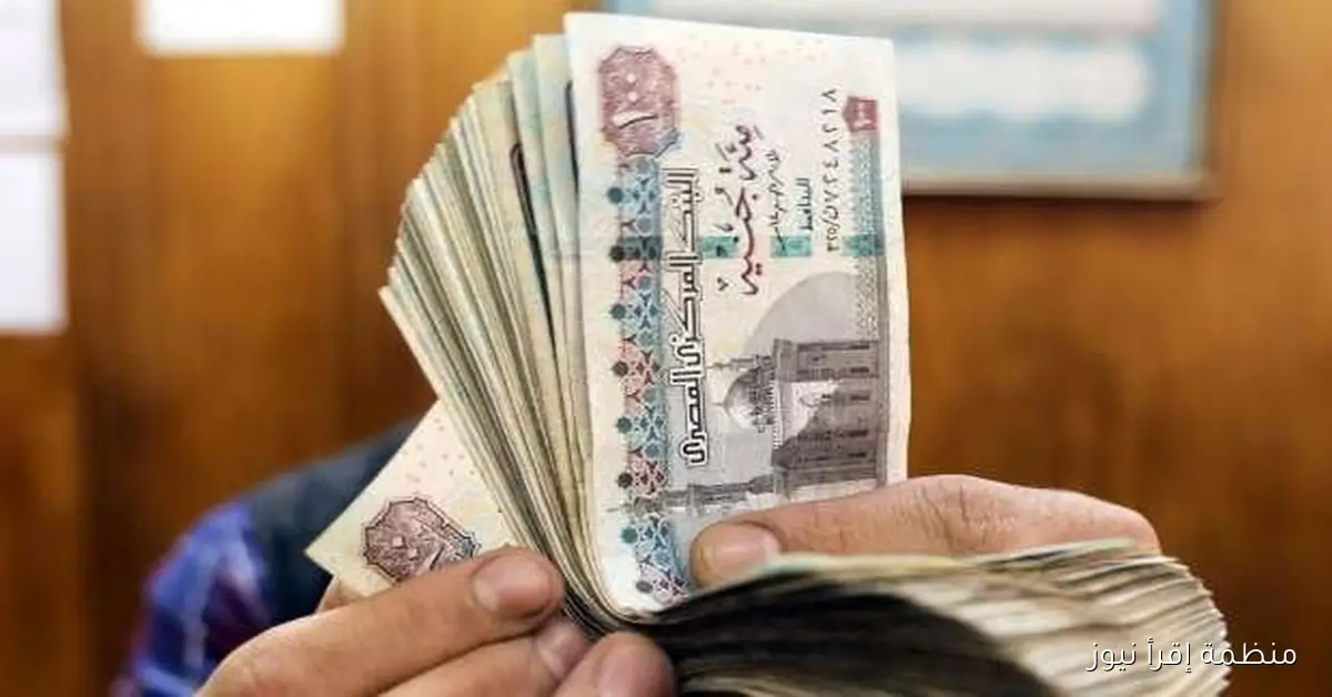 موعد صرف معاشات شهر نوفمبر 2025 والاستعلام عنها عبر موقع هيئة التأمينات الاجتماعية nosi.gov.eg