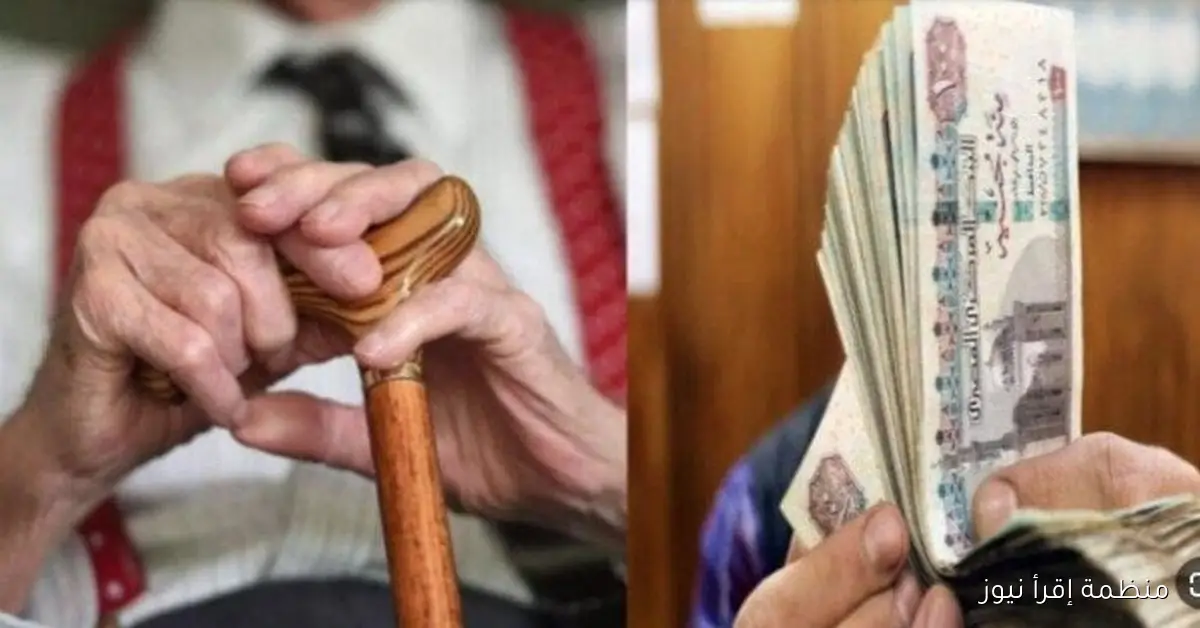 موعد صرف معاشات شهر نوفمبر 2025 والاستعلام عنها عبر موقع هيئة التأمينات الاجتماعية nosi.gov.eg