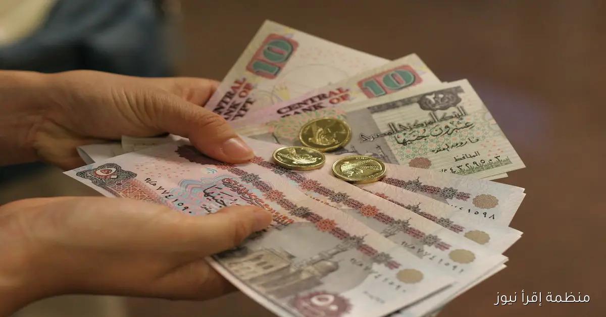 موعد صرف معاشات شهر نوفمبر 2025 بقرار من هيئة التأمينات الاجتماعية