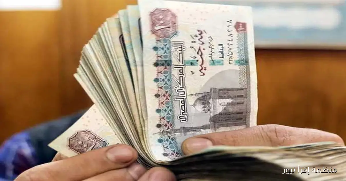 قبضك امتا؟؟ موعد صرف معاشات نوفمبر 2025 وفقًا لقرار هيئة التأمينات الاجتماعية